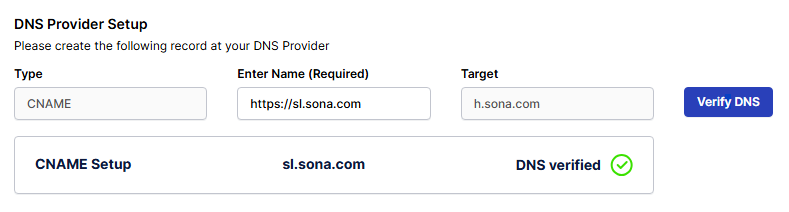 DNS Provider setup